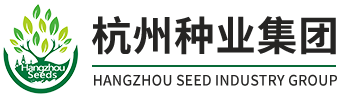 杭州米乐改名易游集团
